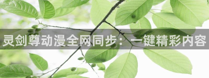 精灵宝可梦剑盾免费观看樱花动漫：灵剑尊动漫全网同步：一键精彩内容