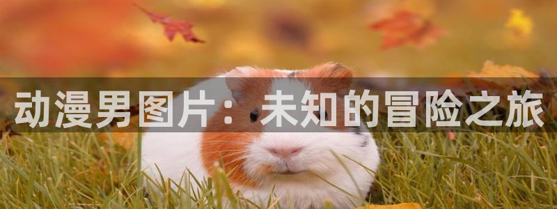 如何下载樱花动漫：动漫男图片：未知的冒险之旅